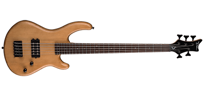 Dean Guitars