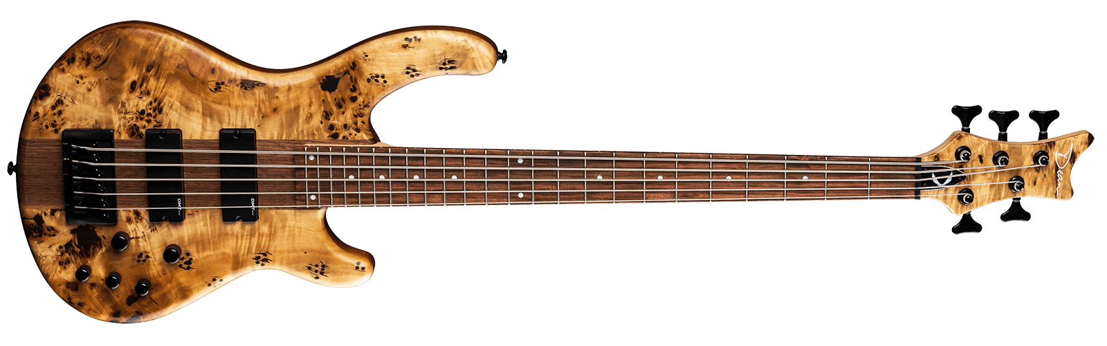 Edge Select 5 String Burled Poplar SN