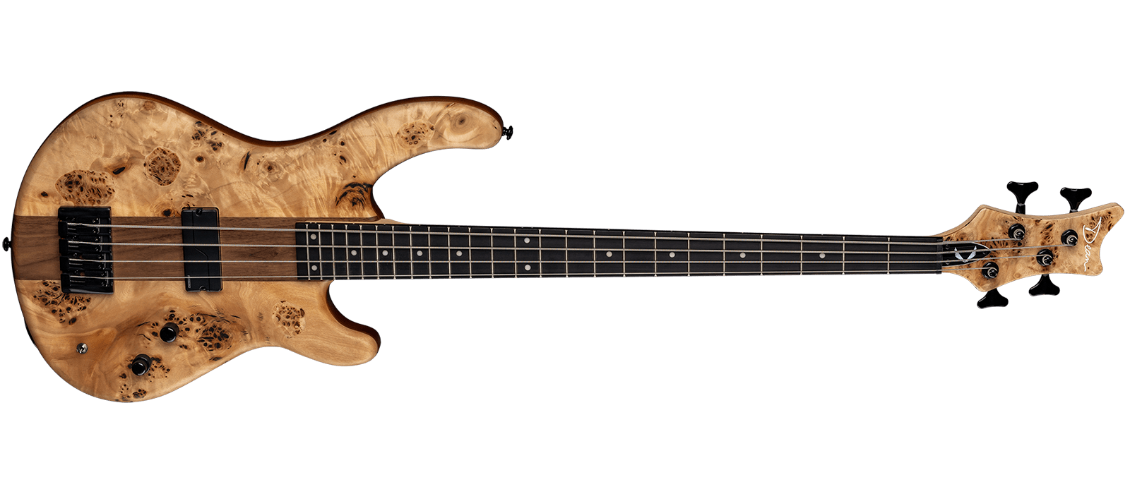 Edge Pro Select 4 Str Burled Poplar SN