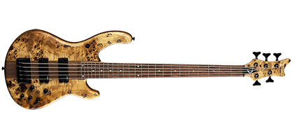 Dean Guitars
