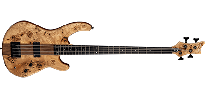 Dean Guitars