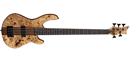 Dean Guitars