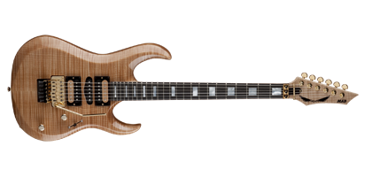 Dean Guitars
